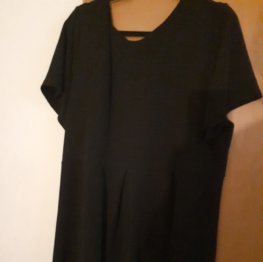 Plus sized Dress